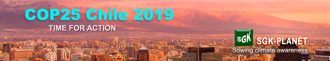 What are the objectives of COP25? - SGK-Planet