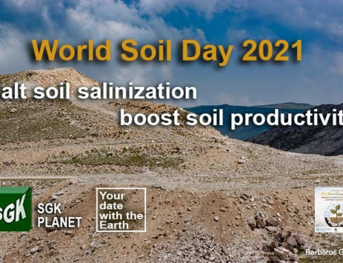 World Soil Day 2021