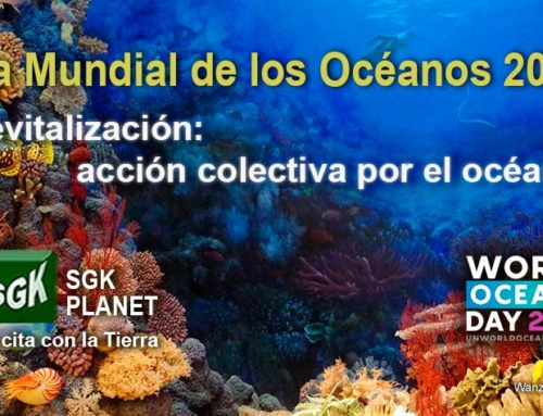 Revitalización: acción colectiva por el Océano. Día Mundial de los Océanos 2022