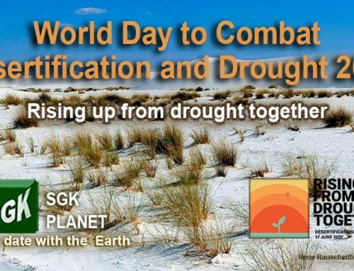 Rising up from drought together. World Day to Combat Desertification and Drought 2022