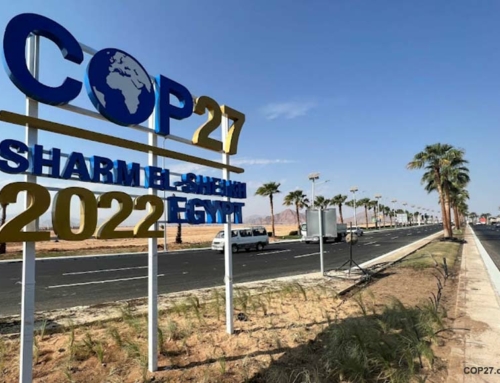 Preliminary information on COP27 Sharm El-Sheikh 2022