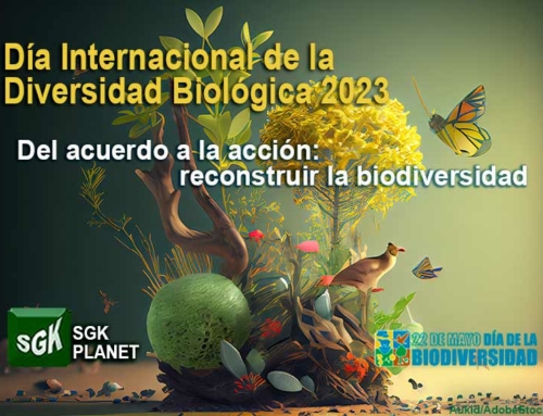 Del acuerdo a la acción: reconstruir la biodiversidad. Día Internacional de la Diversidad Biológica 2023