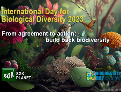 From agreement to action: build back biodiversity. International Day for Biological Diversity 2023