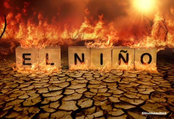 What Is The Formation Process Of The El Niño Phenomenon? – SGK-Planet