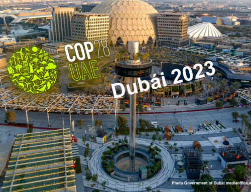 Everything you need to know about COP28
