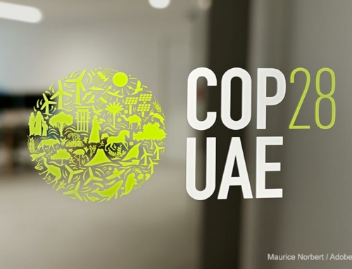 Resumen y conclusiones de la COP28 Dubái EAU 2023
