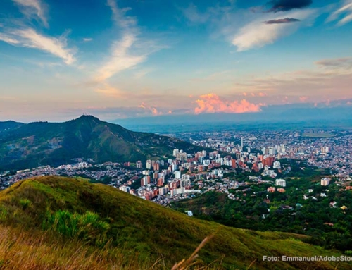 Informe sobre la COP16. Conferencia de Naciones Unidas sobre Biodiversidad 2024