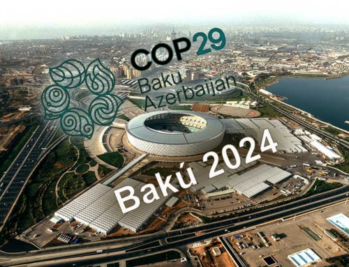 Todo lo que necesitas saber acerca de la COP29