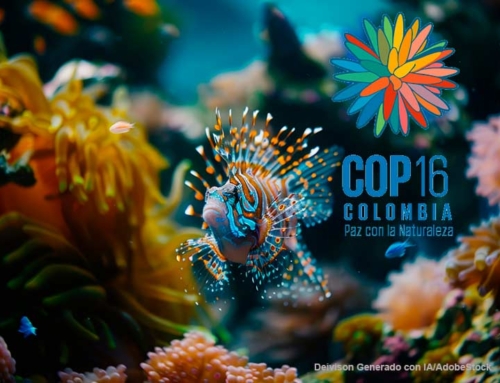 Summary and conclusions on COP16 Cali-Colombia 2024. Conference on Biodiversity