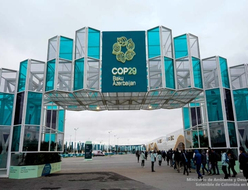 Resumen y conclusiones de la COP29 Bakú, Azerbaiyán 2024