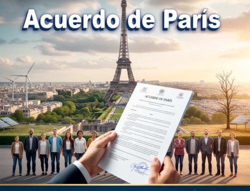 ¿Estamos cumpliendo el Acuerdo de París?