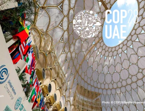 Brief Summary of COP28 Dubai UAE 2023
