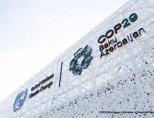 Breve resumen de la COP29 Bakú, Azerbaiyán 2024