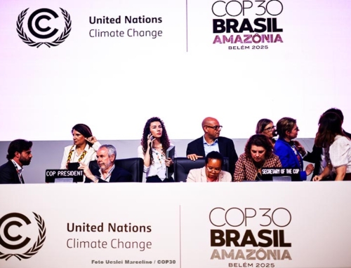 Summary and conclusions of COP30 Belem 2025 Amazonia Brazil
